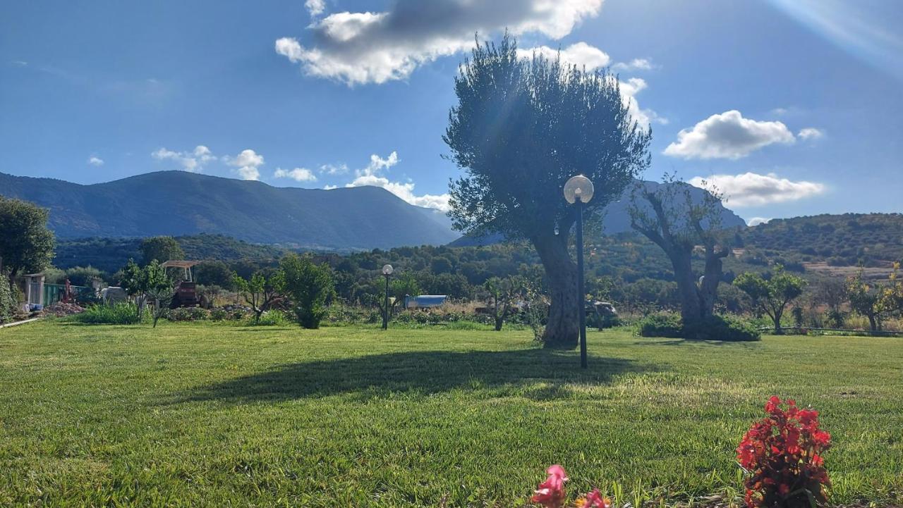 Le Colline Di Paestum Bed & Breakfast Capaccio Екстериор снимка