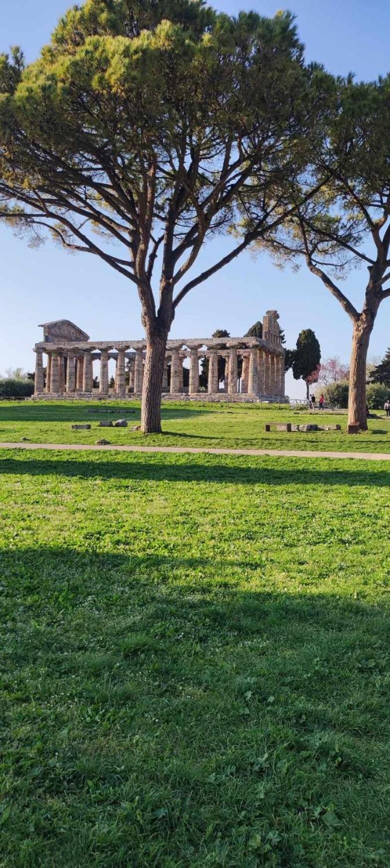 Le Colline Di Paestum Bed & Breakfast Capaccio Екстериор снимка
