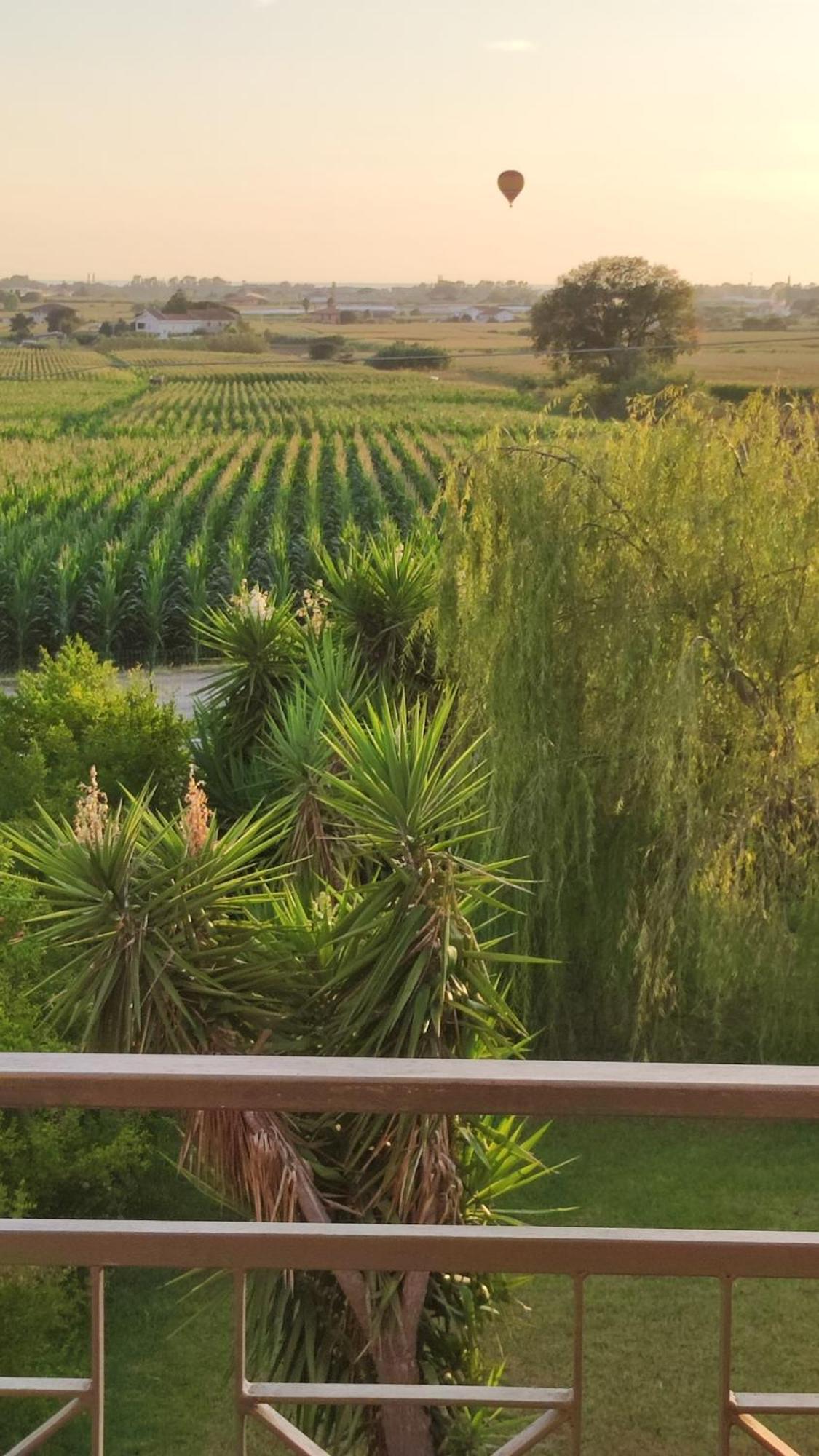 Le Colline Di Paestum Bed & Breakfast Capaccio Стая снимка